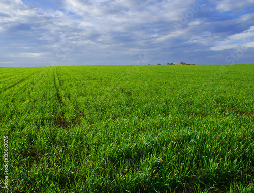 Beautiful green landscape with clouds on the blue sky  3 