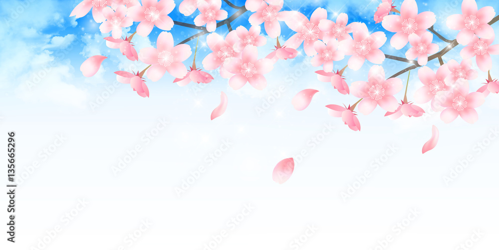 桜 春 学校 背景 桜 春 学校 背景