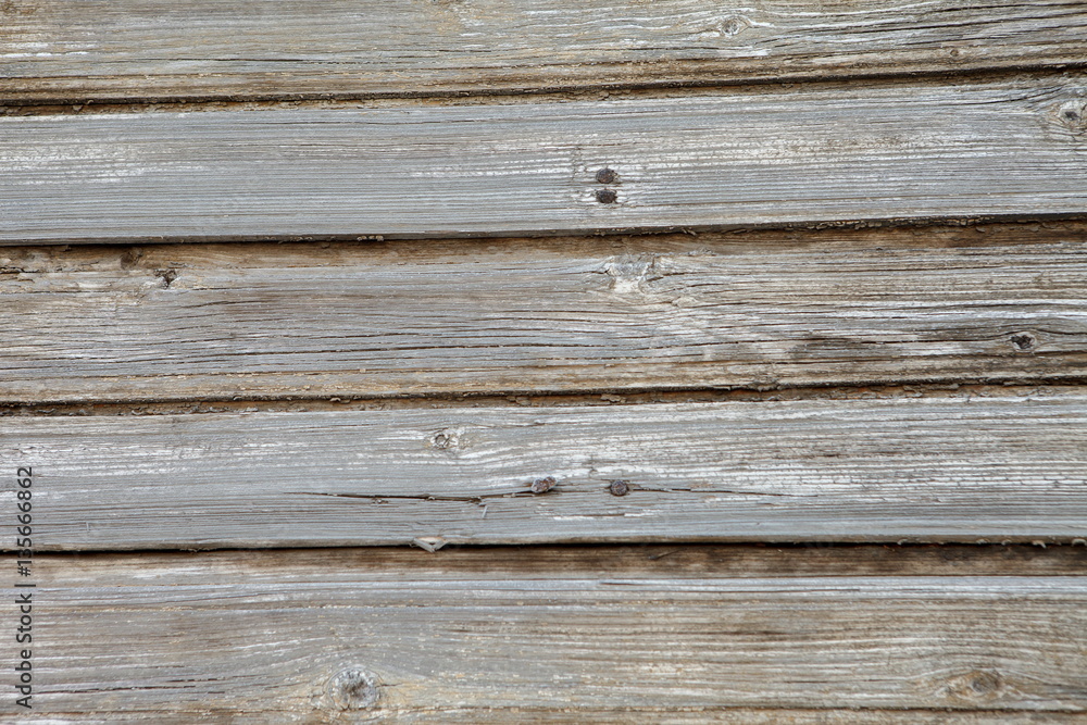 Fototapeta premium текстура дерева