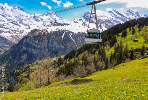 Cable car & View of landscape in the Alps at gimmelwald & murren villages in Switzerland. Green field & golden flower with snow-covered mountain in background.