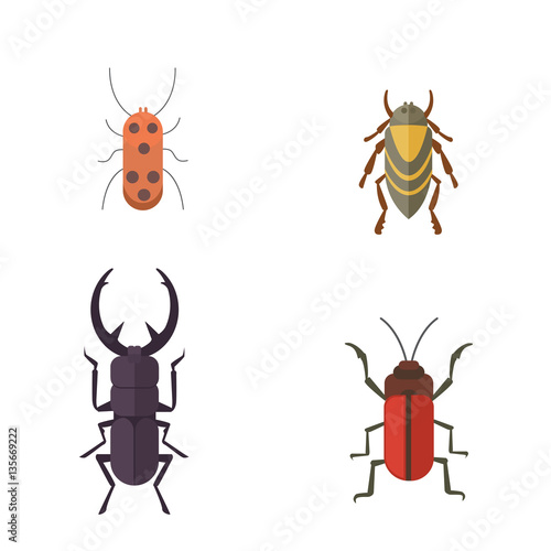 Set of insects flat style vector design icons. Collection nature beetle and zoology cartoon illustration. Bug icon wildlife concept