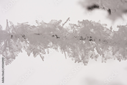 Branch full of hoarfrost with natural background 