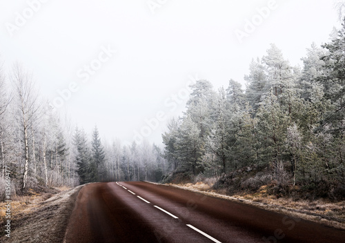 Road trough frosty forest