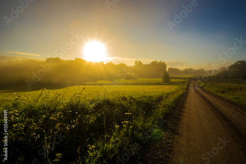 Fototapeta Naklejka Na Ścianę i Meble -  Summer sunrise