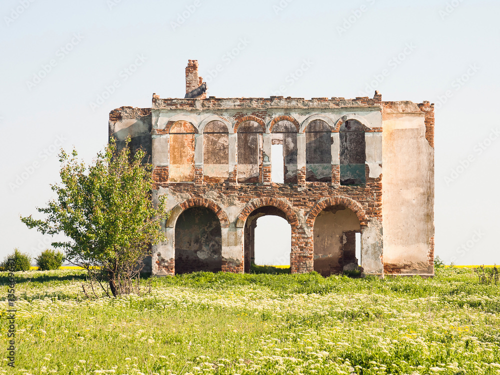 Fototapeta premium Ruined house in the field 
