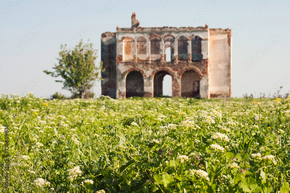 Fototapeta premium Ruined house in the field 