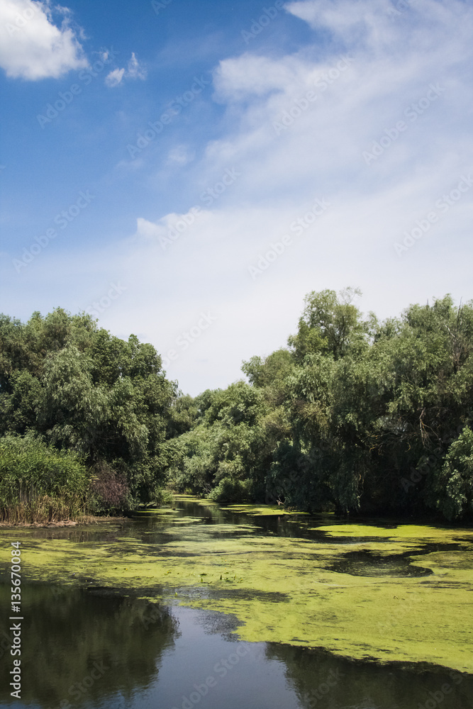 Danube Delta landscape - Romania