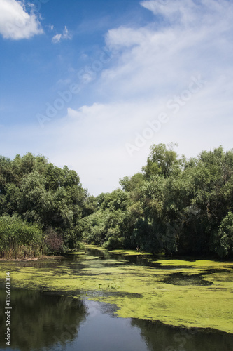 Danube Delta landscape - Romania © ileana_bt