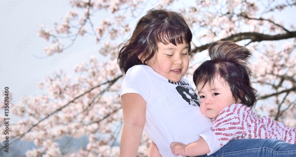 桜・春のファミリー 桜・春のファミリー