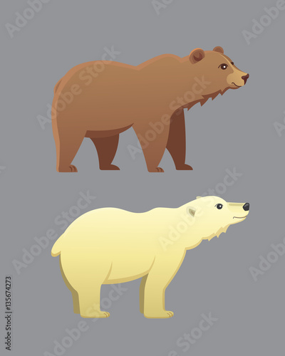 Collection with different cartoon bears isolated on grey background. Vector broun and white polar bear. Set Wildlife or zoo grizzly.