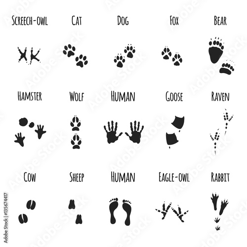 animal paws black prints - vector icons set