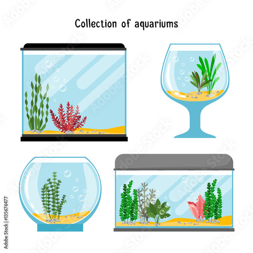 Aquarium forms vector illustration. Decoration home empty glass tanks isolated on white background