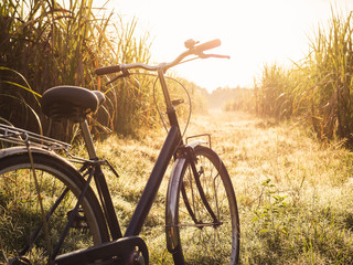 Leinwandbilder Fahrrad Radtour durch Sommerwiesen bei Sonnenaufgang  © VTT Studio