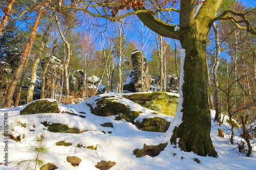 Elbsandsteingebirge im Winter Kohlbornstein - Elbe sandstone mountains mountain Kohlbornstein photo