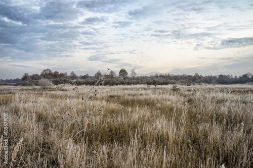 Autumn Field in frost. Dawn. © Виталий Волосевич