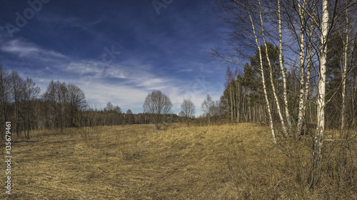 Stitched Panorama. Spring field. Landscape.