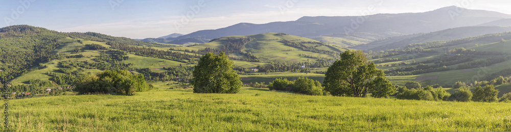 A view of the verdant mountain valley.