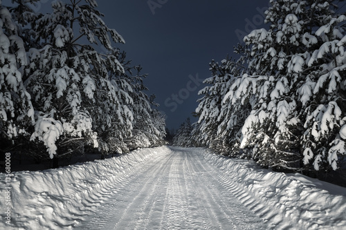 Fototapeta Naklejka Na Ścianę i Meble -  night road through winter forest