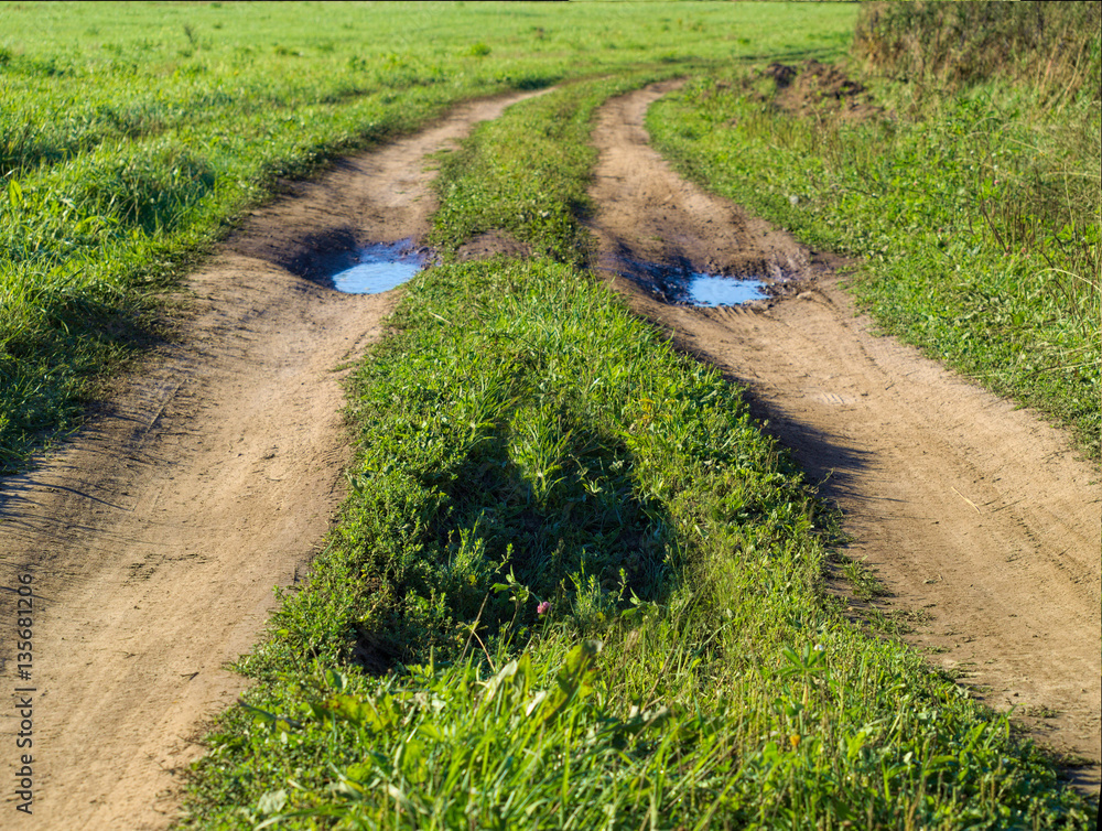 Obraz premium field road as a human face