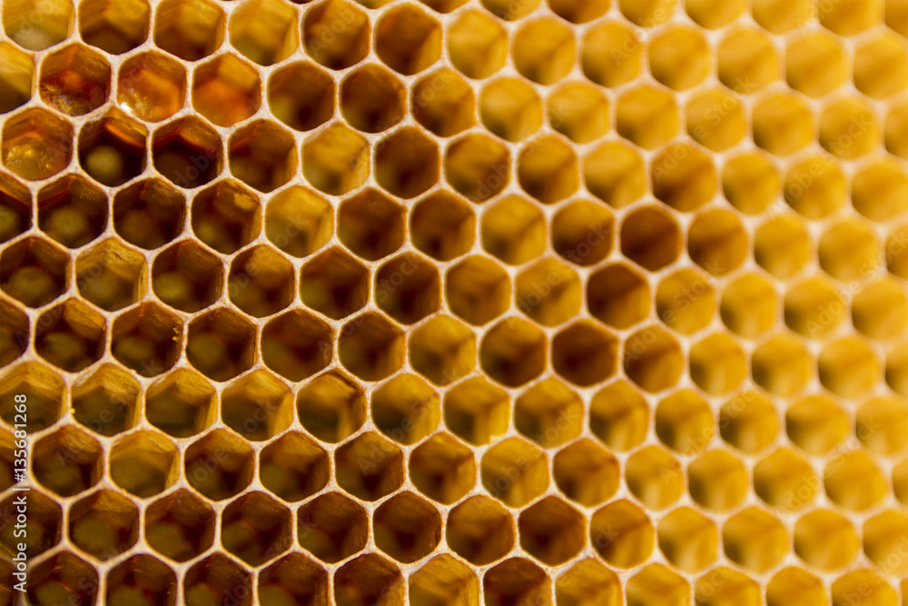 Honeycombs texture