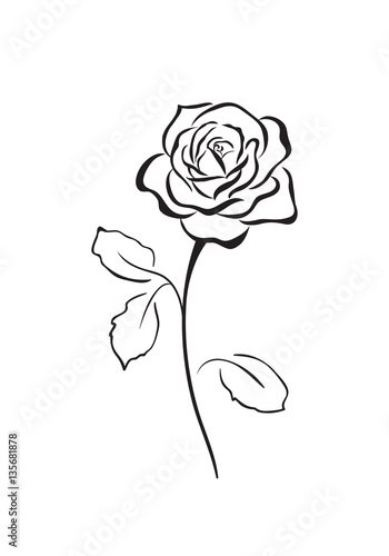 Rose flower vector icon