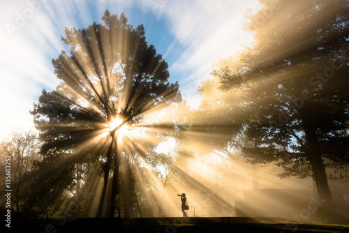 Ray of Light