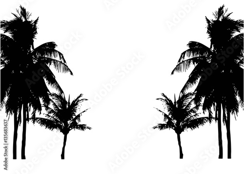 Realistic SilhouetteTropical Coconut Palm Tree, black silhouettes and outline contours on white background. Vector