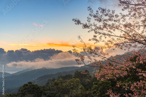 Sunrise at Doi Mae Ta Man