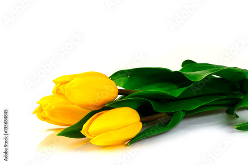 Fototapeta Naklejka Na Ścianę i Meble -  flowers yellow tulips on a white background 