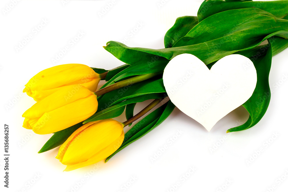 Obraz premium flowers yellow tulips with a card for the text on a white background