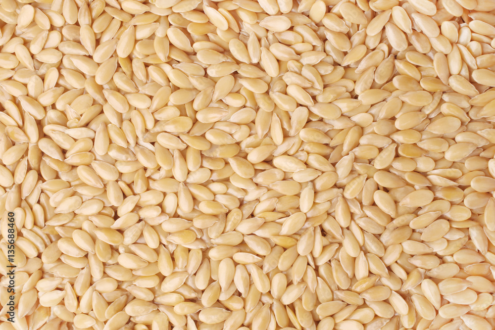 Sesame seeds, for backgrounds or textures Sesame seeds, for backgrounds or textures