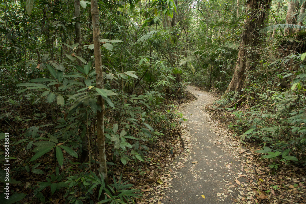 Obraz premium Trekking path in autumn