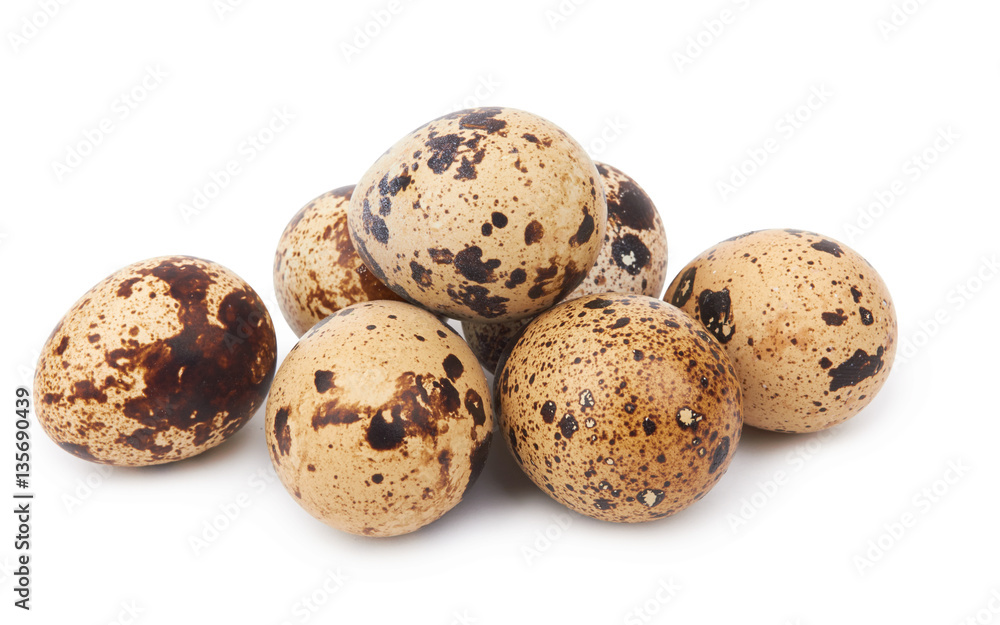 quail eggs isolated quail eggs isolated
