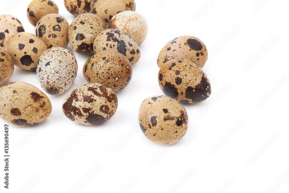 quail eggs isolated