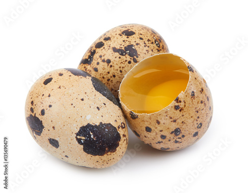 quail eggs isolated