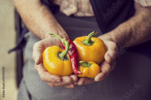 Fresh peppers offer