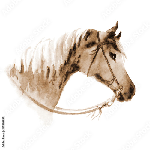 Watercolor sepia cowboy western horse head with bridle. Hand drawing illustration on white