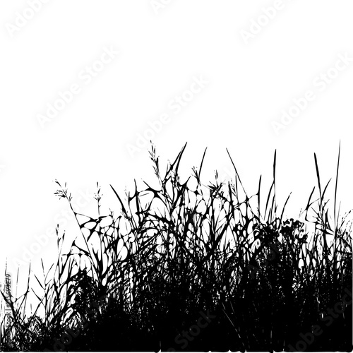 Realistic grass silhouette (Vector illustration).