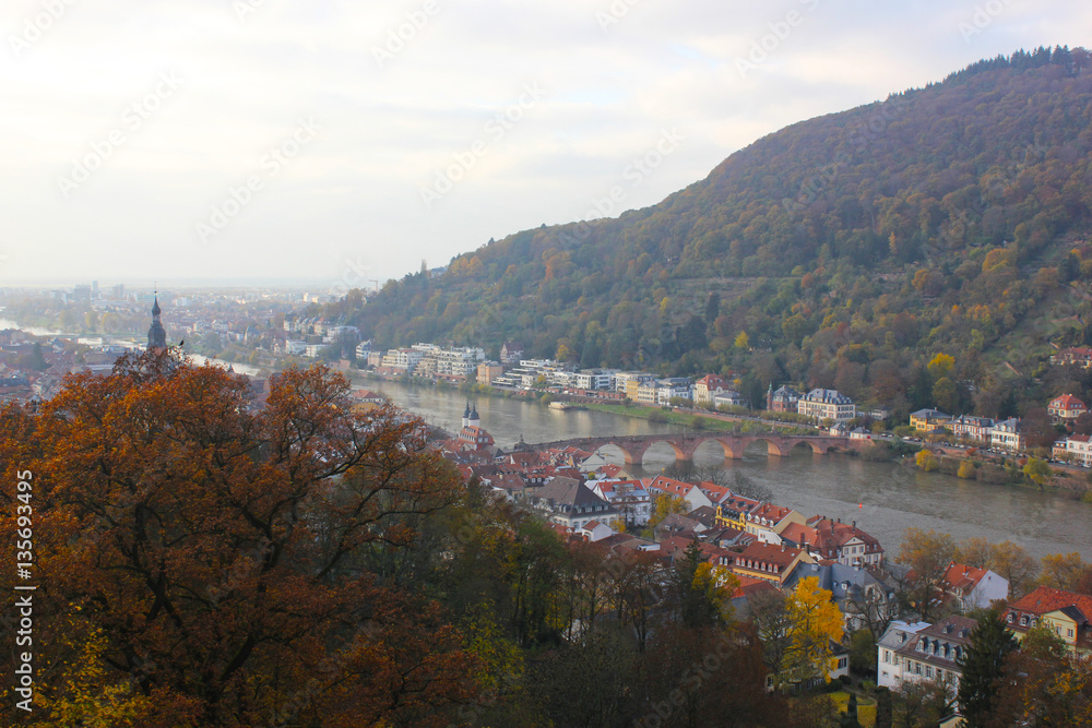 View of Heidelberg, Germany