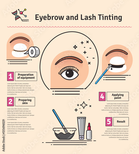 Vector Illustrated set with salon Brow and Eyelash Tints