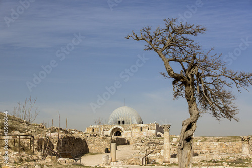 The ruins of the ancient citadel in Amman, Jordan  photo