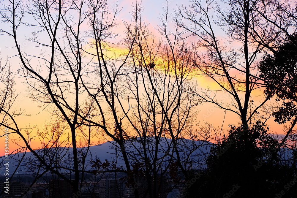 Obraz premium 夕焼け空と冬の木々