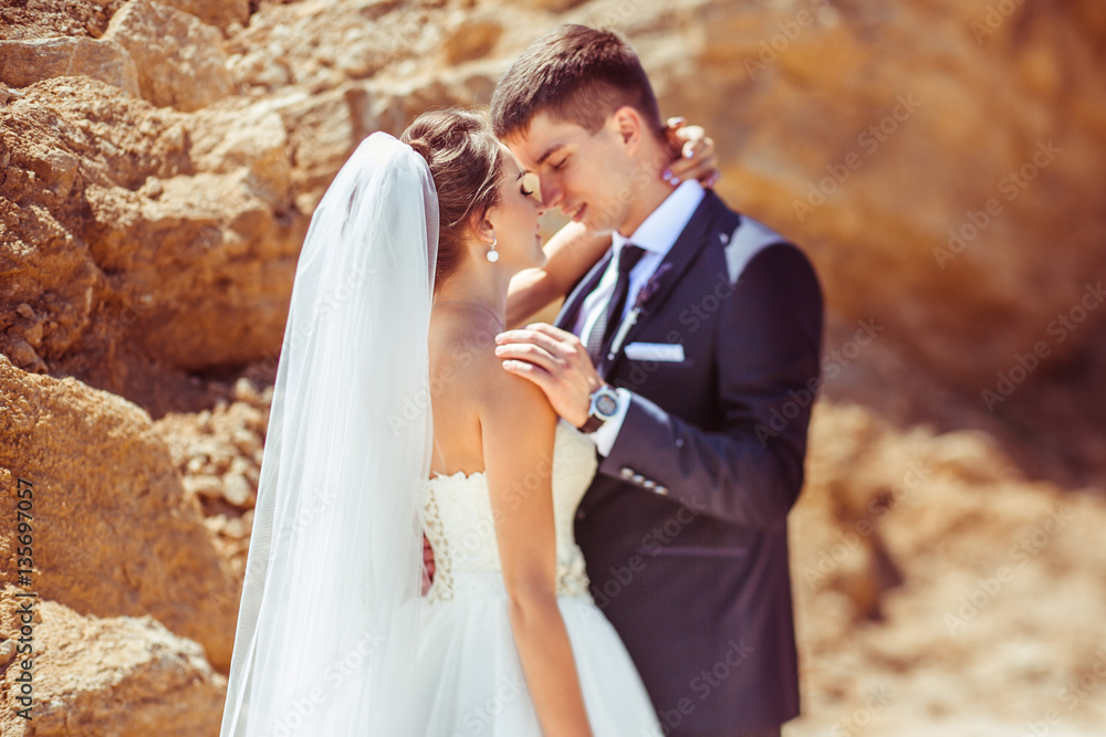 Naklejka premium The brides embracing near stones