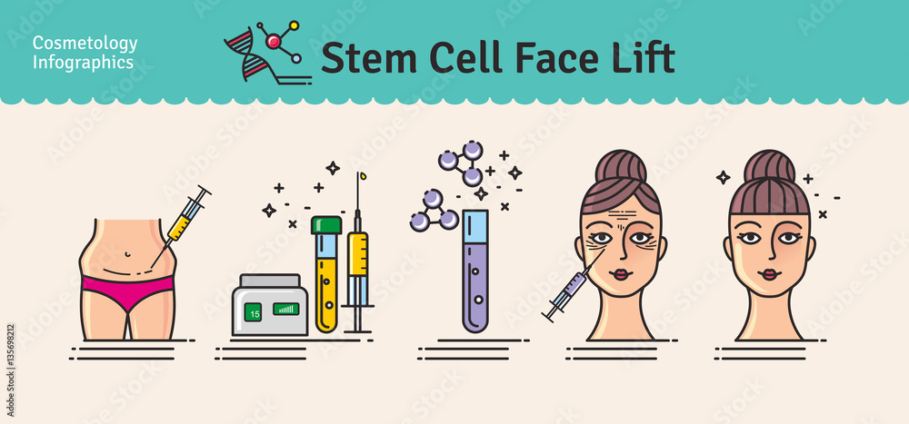 Vector Illustrated set with cosmetology stem cell facelift Vector Illustrated set with cosmetology stem cell facelift