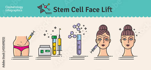 Vector Illustrated set with cosmetology stem cell facelift