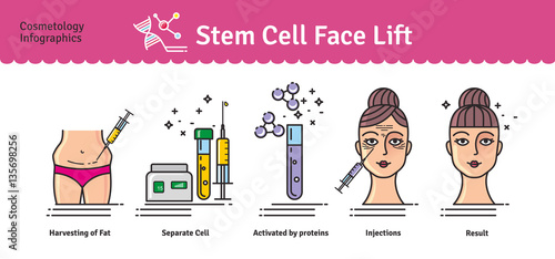 Vector Illustrated set with cosmetology stem cell facelift