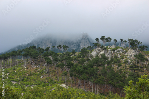 Crimea ,sea ,black sea ,tourist , tourism ,Crimea ,journey ,outdoors,mountain range ,summer  journey ,outdoors    ,sky ,fog ,clouds  ,trees .forest ,summer