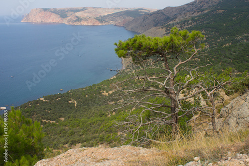 Crimea ,sea ,black sea ,tourist , tourism ,Crimea ,journey ,outdoors,mountain range ,summer  journey ,outdoors    ,sky ,fog ,clouds  ,trees .forest ,summer
