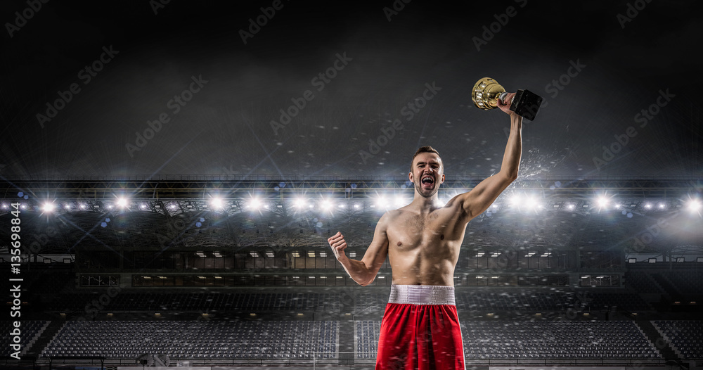 Professional box champion . Mixed media . Mixed media Professional box champion . Mixed media . Mixed media