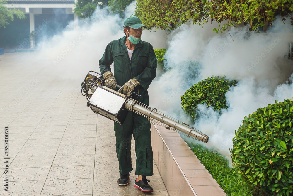 Fogging to eliminate mosquito for preventing spread dengue fever and virus zika Fogging to eliminate mosquito for preventing spread dengue fever and virus zika